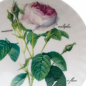 Preview: Müslischale 17,5 cm Redoute Rose Roy Kirkham