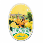 Preview: Pastillen Dose Citron Les Anis de Flavigny 50g