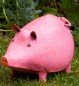 Preview: Sparschwein Pinkie metall 23X14X10cm